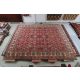 Nagyméretű szőnyeg Kazak 553x416 kézzel csomózott keleti szőnyeg